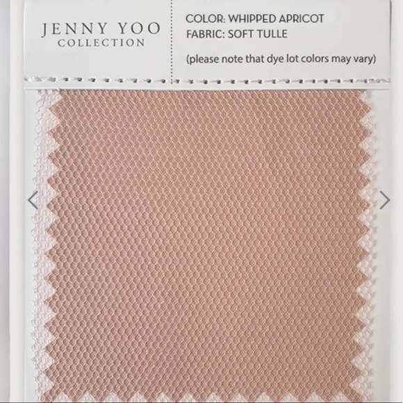 BHLDN Jenny Yoo Inesse Dress in Whipped Apricot - Picture 4 of 16